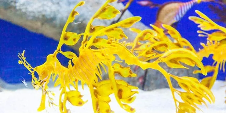 Imagen cabecera post