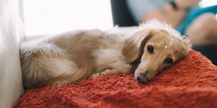 Imagen cabecera post