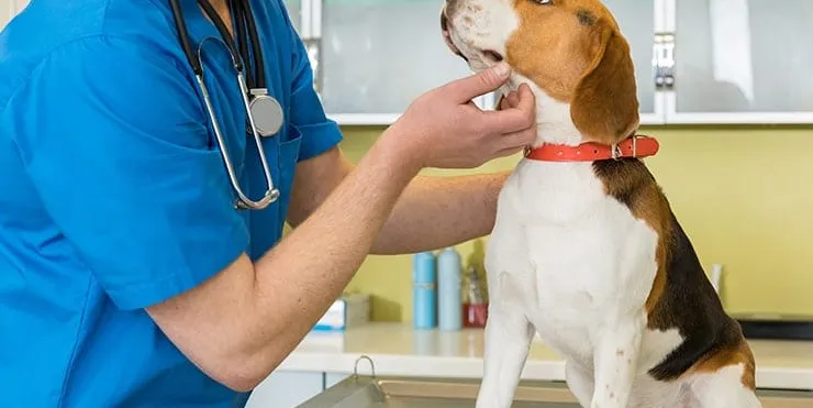 Imagen cabecera post