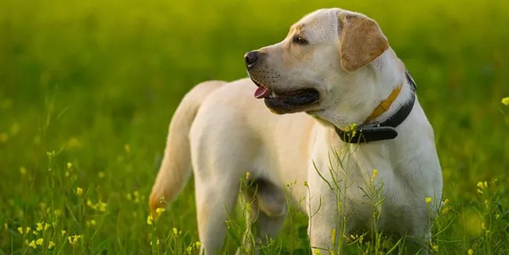 Imagen cabecera post