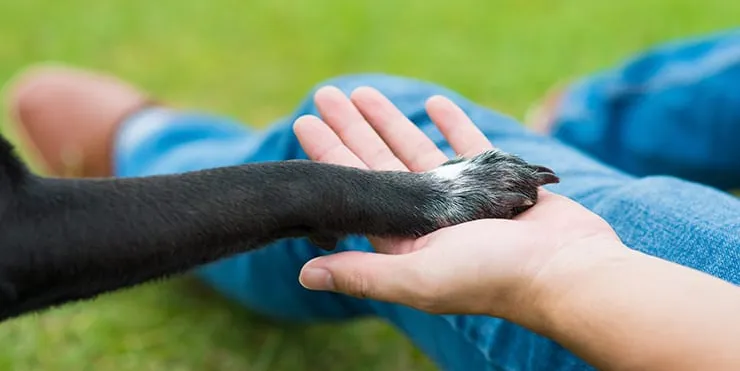 Imagen cabecera post