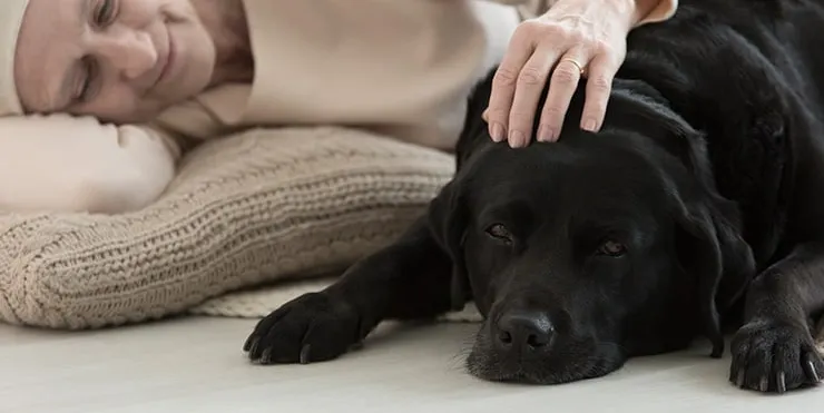 Imagen cabecera post