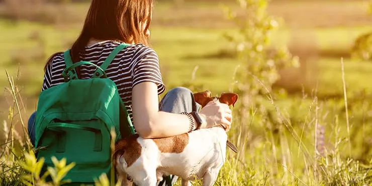 Imagen cabecera post