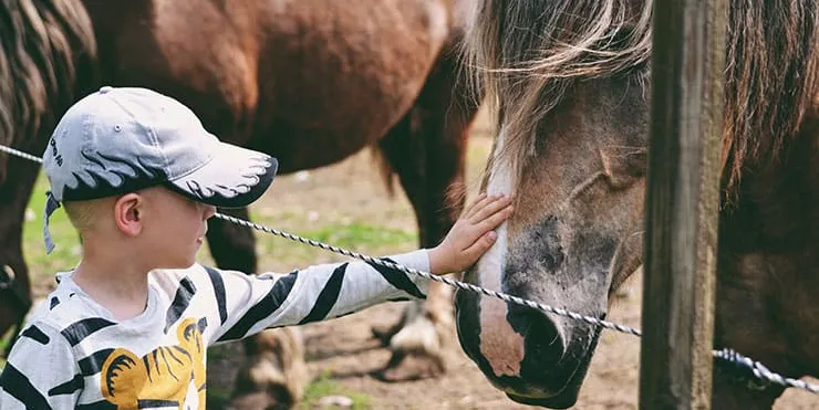 Imagen cabecera post