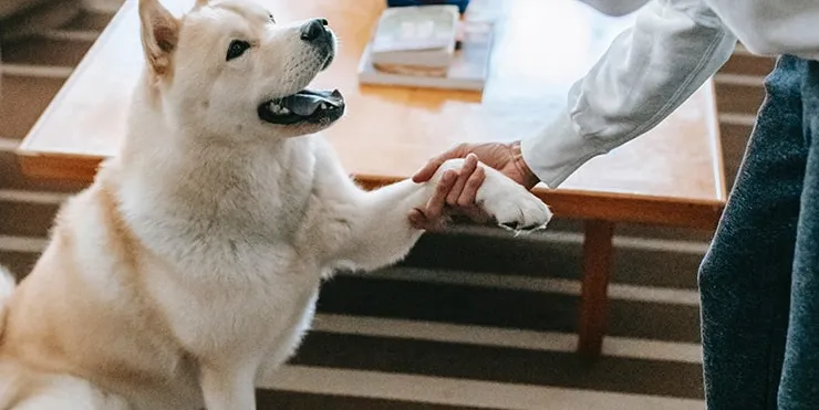 Imagen cabecera post