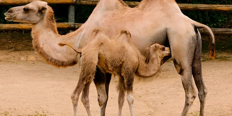 Imagen cabecera post