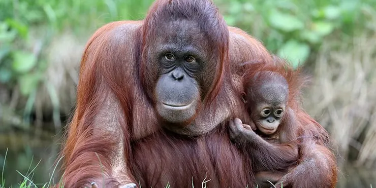 Imagen cabecera post