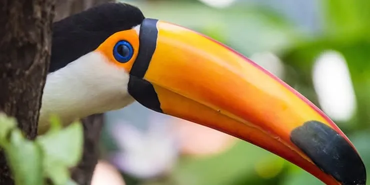 Imagen cabecera post