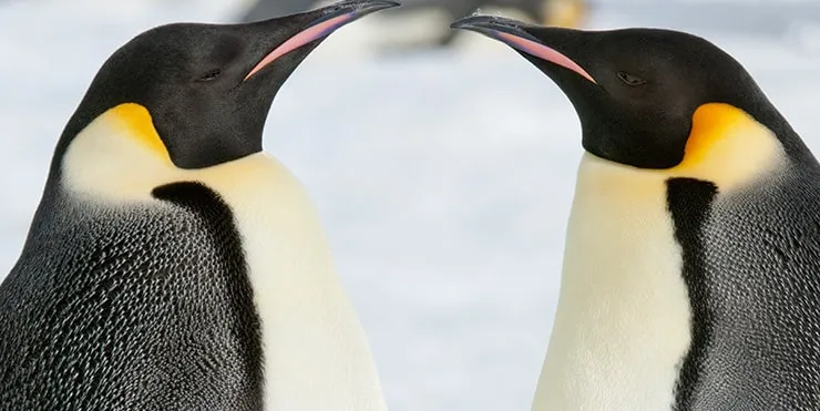 Imagen cabecera post