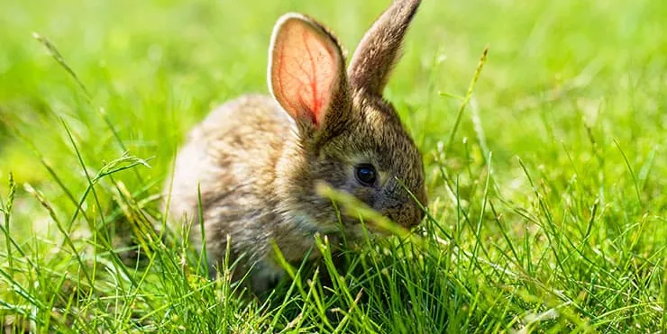 Imagen cabecera post