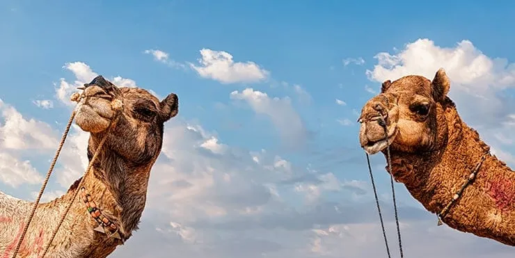 Imagen cabecera post