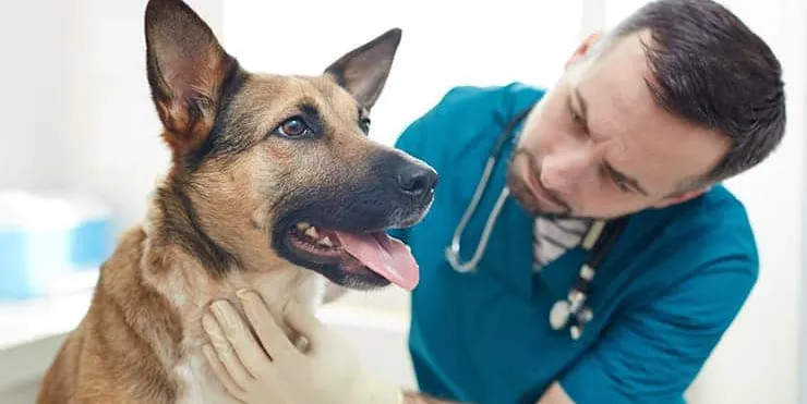 Imagen cabecera post