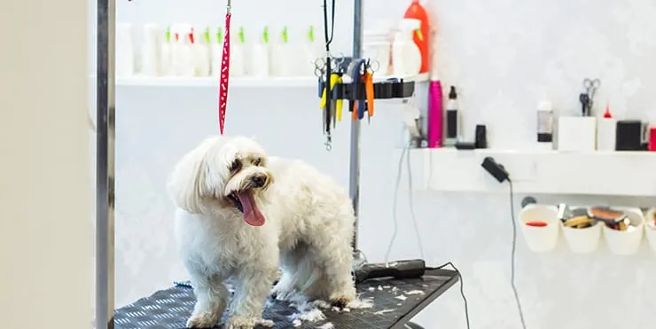 Imagen cabecera post