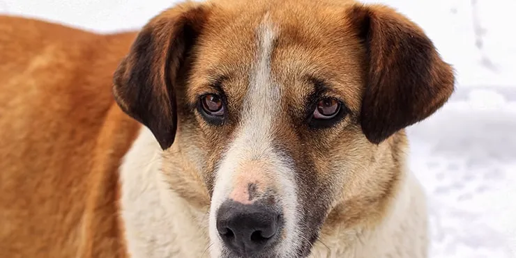 Imagen cabecera post