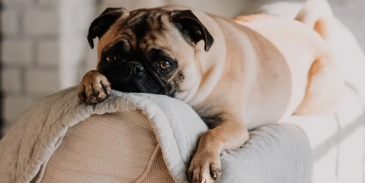 Imagen cabecera post