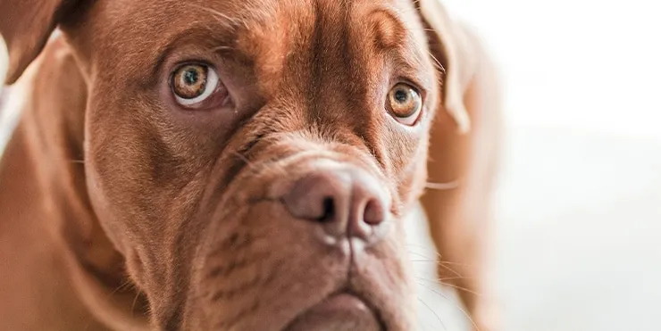 Imagen cabecera post