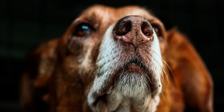 Imagen cabecera post