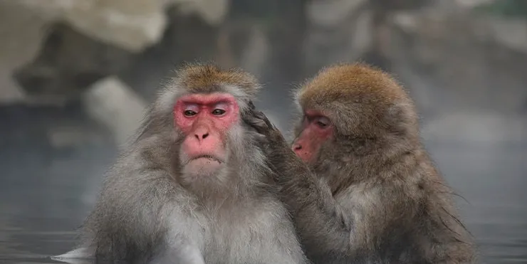 Imagen cabecera post