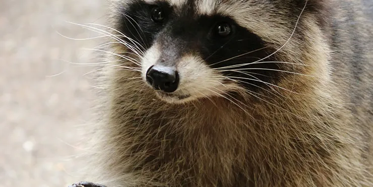 Imagen cabecera post