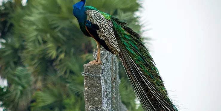 Imagen cabecera post