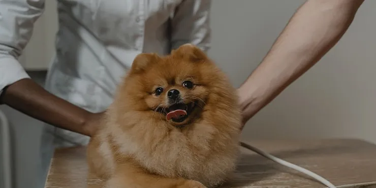 Imagen cabecera post