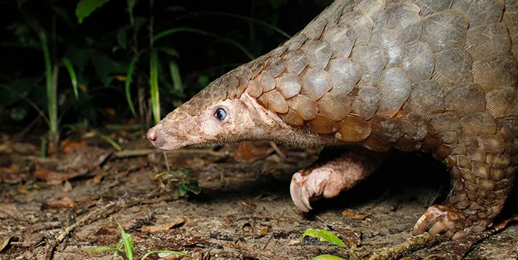 Imagen cabecera post