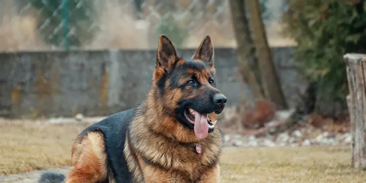 Imagen cabecera post