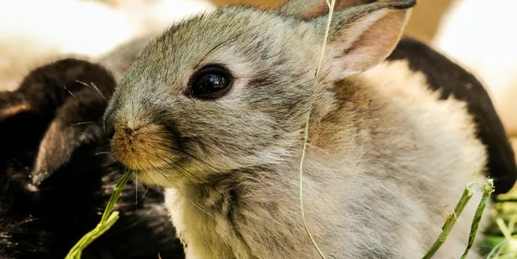 Imagen cabecera post