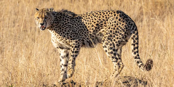 Imagen cabecera post