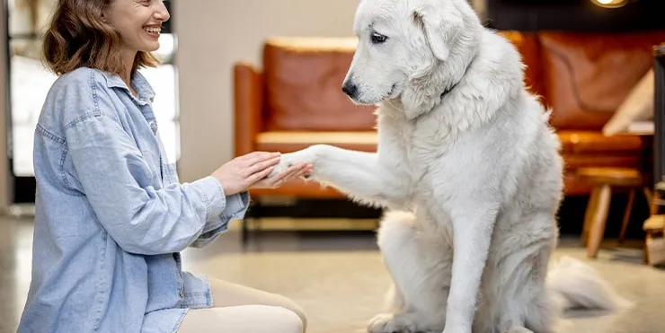 Imagen cabecera post