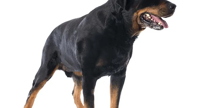 Imagen cabecera post