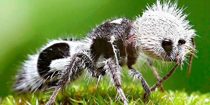 Imagen cabecera post