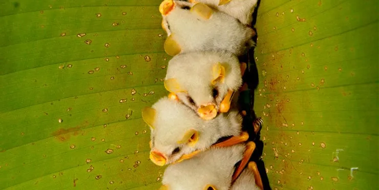 Imagen cabecera post