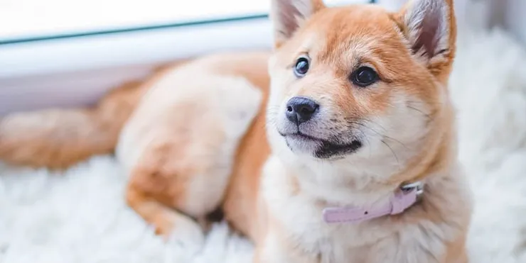 Imagen cabecera post