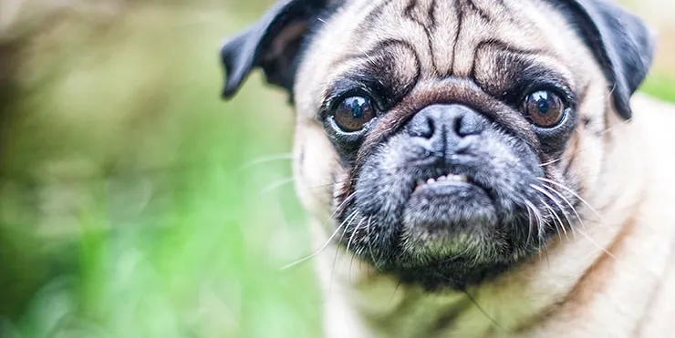 Imagen cabecera post