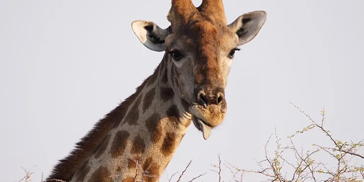 Imagen cabecera post