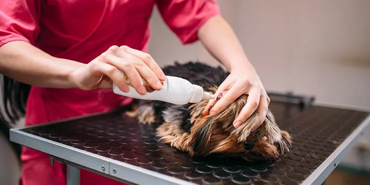 Imagen cabecera post