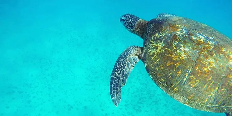 Imagen cabecera post