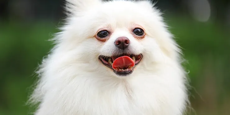 Imagen cabecera post