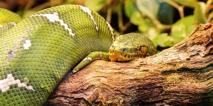 Imagen cabecera post