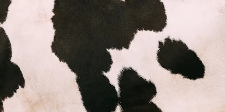 Imagen cabecera post