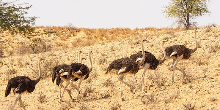 Imagen cabecera post