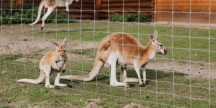 Imagen cabecera post