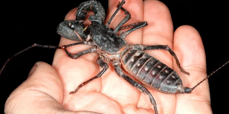 Imagen cabecera post