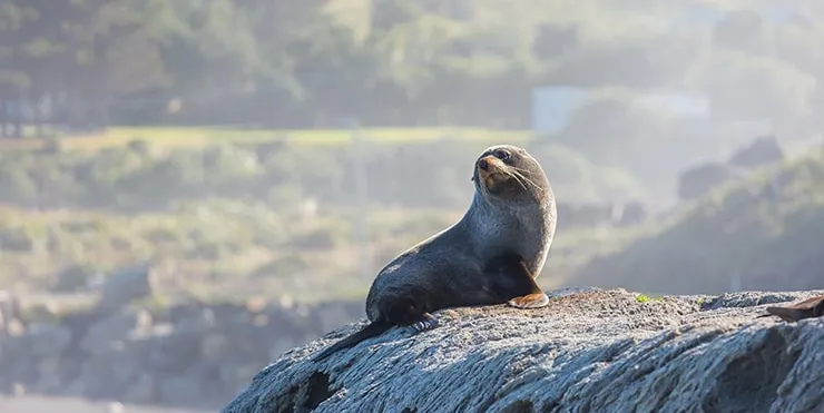 Imagen cabecera post