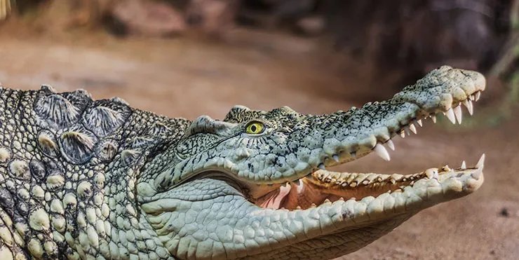 Imagen cabecera post