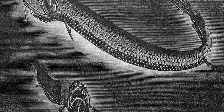 Imagen cabecera post