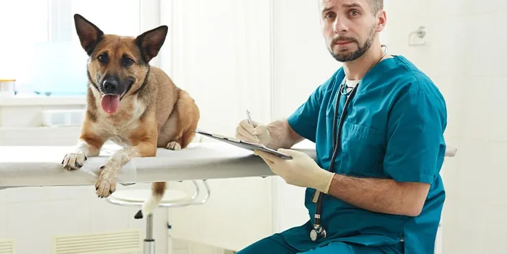 Imagen cabecera post