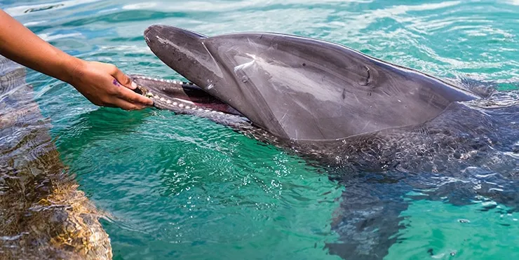 Imagen cabecera post