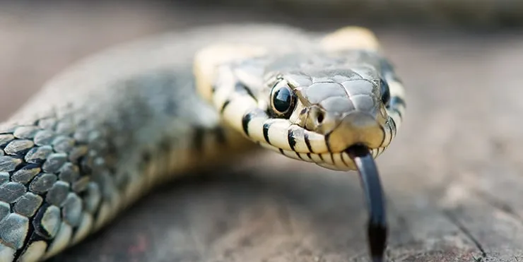 Imagen cabecera post